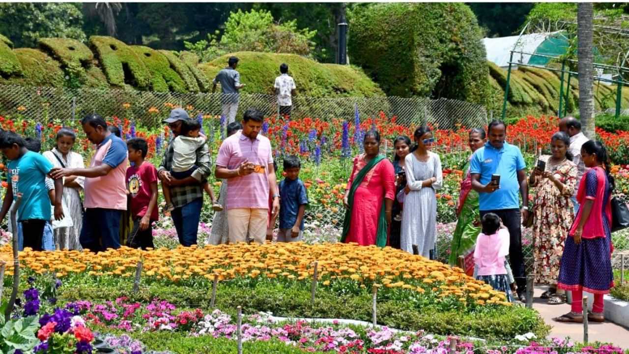 கொடைக்கானலில் துவங்கியது 61-வது மலர் கண்காட்சி... நுழைவு கட்டணம் உயர்வு!