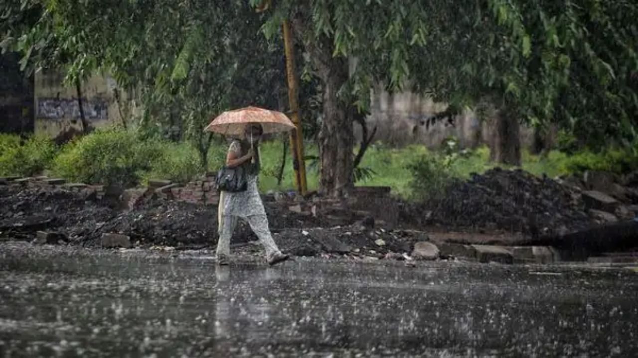 Weather Alert: கேரளாவில் தொடங்கிய தென்மேற்கு பருவமழை.. தமிழ்நாட்டில் மழை பெய்யுமா?