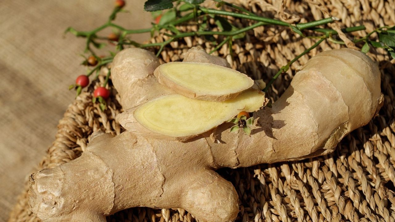 Ginger Water: இஞ்சி தண்ணீர் ஒரு கப் போதும்.. மாதவிடாய் வலி முதல் மலச்சிக்கல் வரை தீர்வு