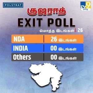 Gujarat Election Exit Poll 2024 results