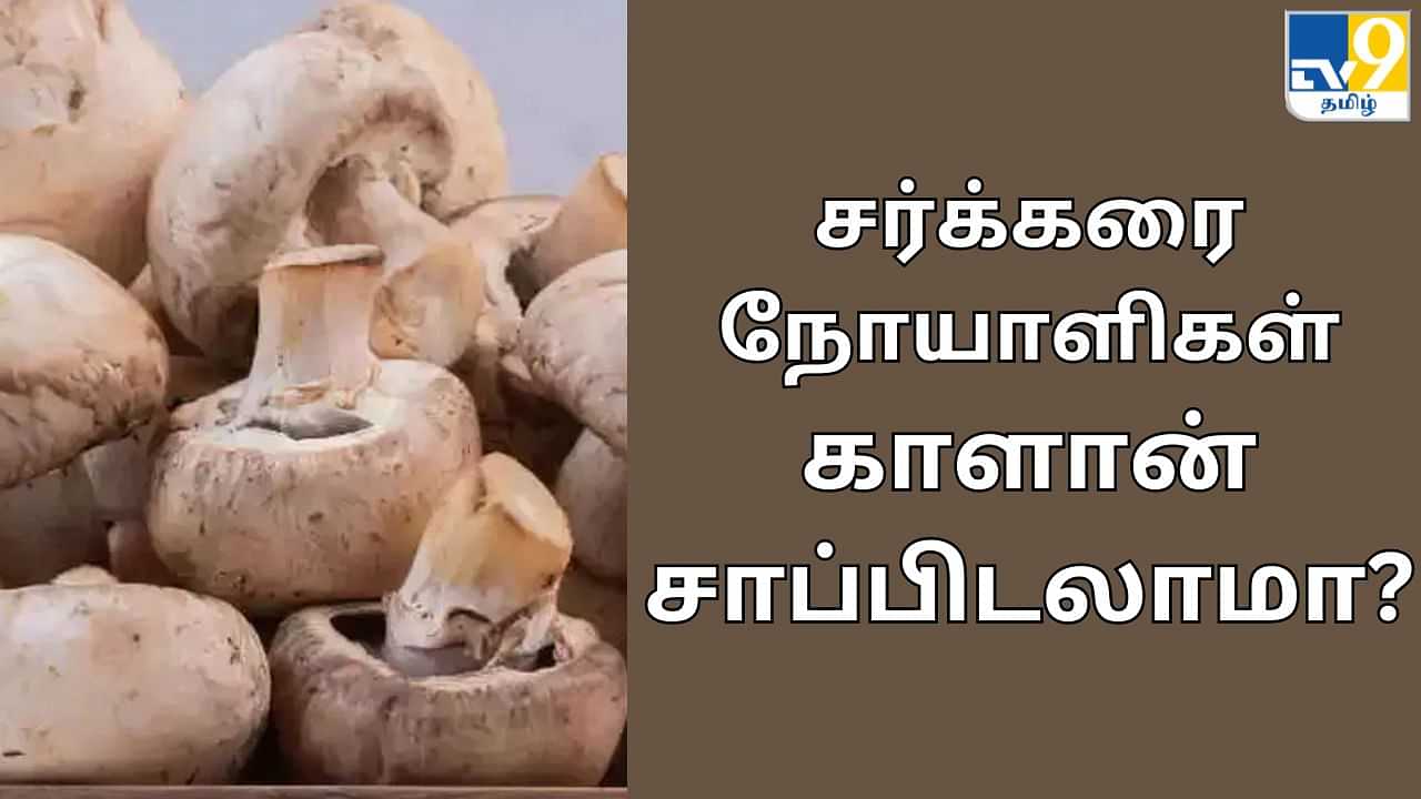 Mushrooms : நீரிழிவு நோயாளிகள் காளான் சாப்பிடலாமா? எப்படி சமைக்கணும் தெரியுமா?