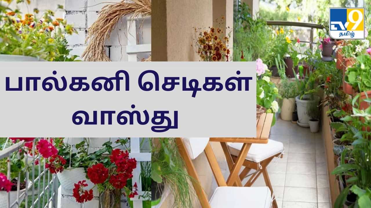 Vastu Tips : பால்கனியில் எந்த செடிகள் வளர்க்கலாம்? திசைக்கு ஏற்ற வாஸ்து!