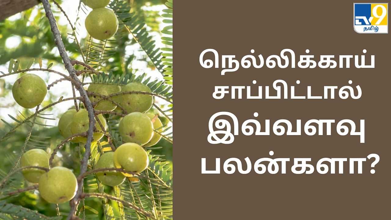 Amla: நெல்லிக்காய் சாப்பிடுவதால் ஏற்படும் பலன்கள்..!