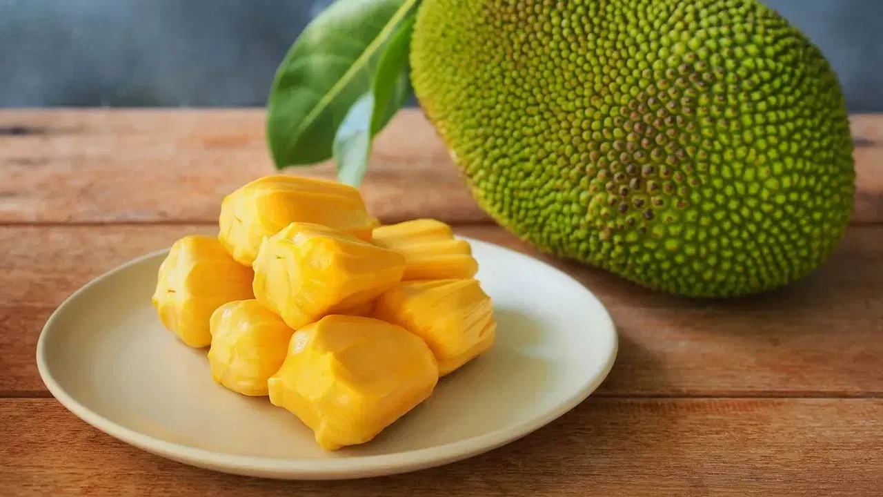 Jackfruit: பலாப்பழம் சாப்பிடுவதால் இவ்வளவு நன்மைகளா..? |