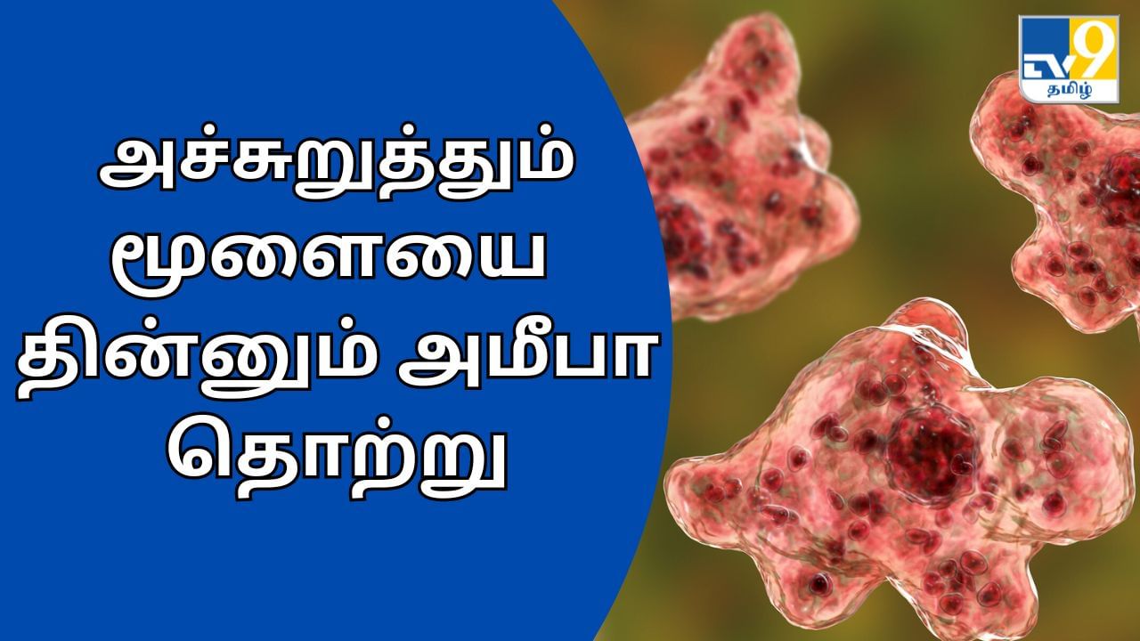 Brain Eating Amoebae: அச்சுறுத்தும் மூளையை தின்னும் அமீபா.. எச்சரிக்கும் தமிழக அரசு!