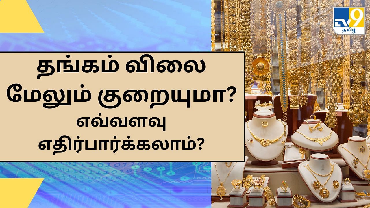 Gold Price : தங்கம் விலை வரும் நாட்களில் குறையுமா? எவ்வளவு வரை எதிர்பார்க்கலாம்? நிபுணர்கள் கணிப்பு இதுதான்!