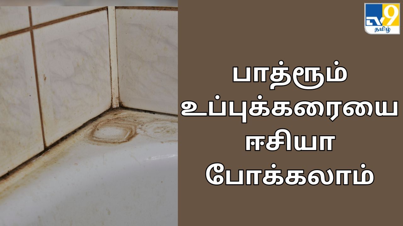 Bathroom Cleaning: பாத்ரூம் உப்புக்கரையை ஈசியா போக்கலாம்.. இதோ எளிதான சில வழிகள்!