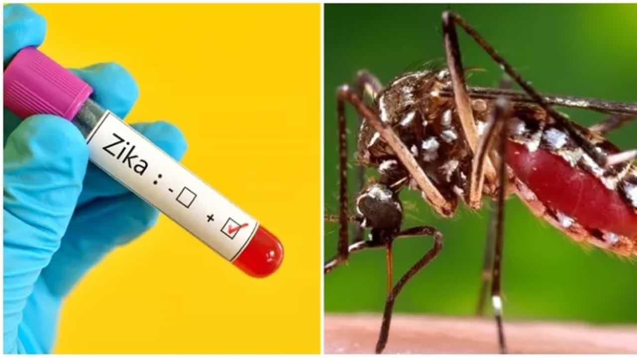 Zika Virus: மகாராஷ்டிராவில் தீயாய் பரவும் ஜிகா’ வைரஸ்.. அனைத்து மாநிலங்களுக்கு அலர்ட் கொடுத்த மத்திய அரசு!