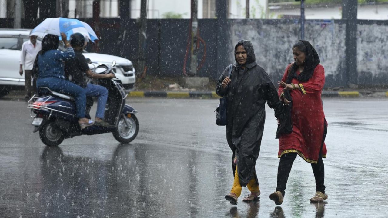 Tamilnadu Weather Alert: அடுத்த 7 நாட்களுக்கு மிதமான மழைக்கு வாய்ப்பு.. தரைக்காற்று அதிகமாக இருக்கும் என எச்சரிக்கை..