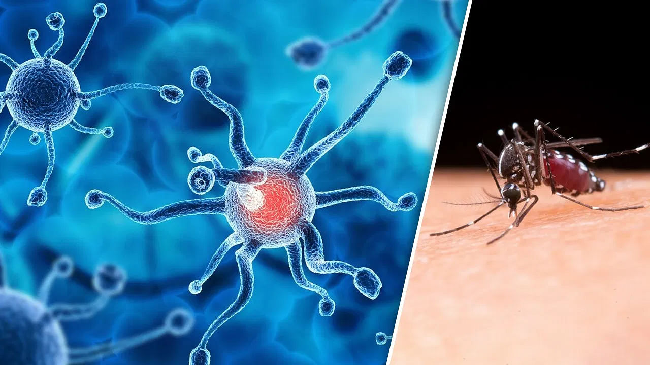 Virus: மழைக்காலத்தில் அதிகரிக்கும் வைரஸ் நோய்கள்… பாதுகாக்கும் வழிமுறைகள்..!