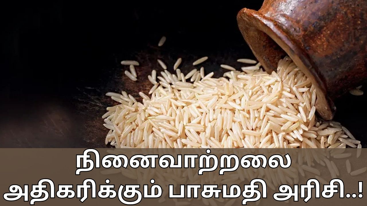 Basmati Rice Benefits: அதிக சத்துக்கள் நிறைந்த பாசுமதி அரிசி.. மூளை ஆரோக்கியத்திற்கு சிறந்தது!