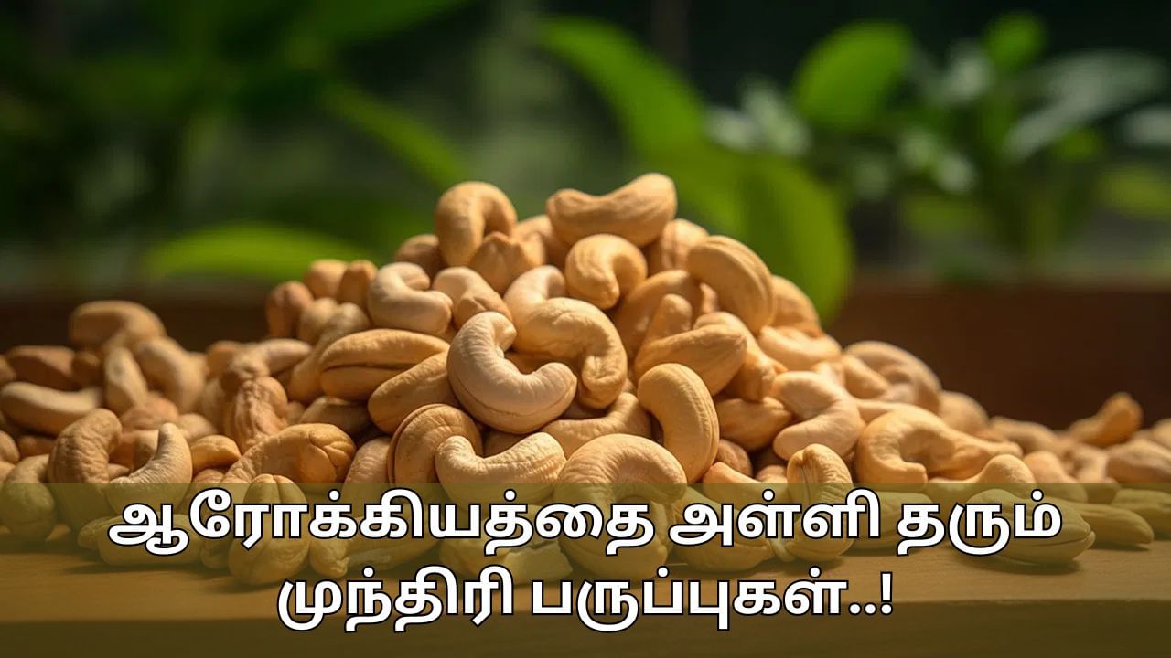 Cashew Nuts Benefits: தினசரி ஒரு கையளவு முந்திரி போதும்.. உடலுக்கு ஆரோக்கியத்தை அள்ளி தரும்!