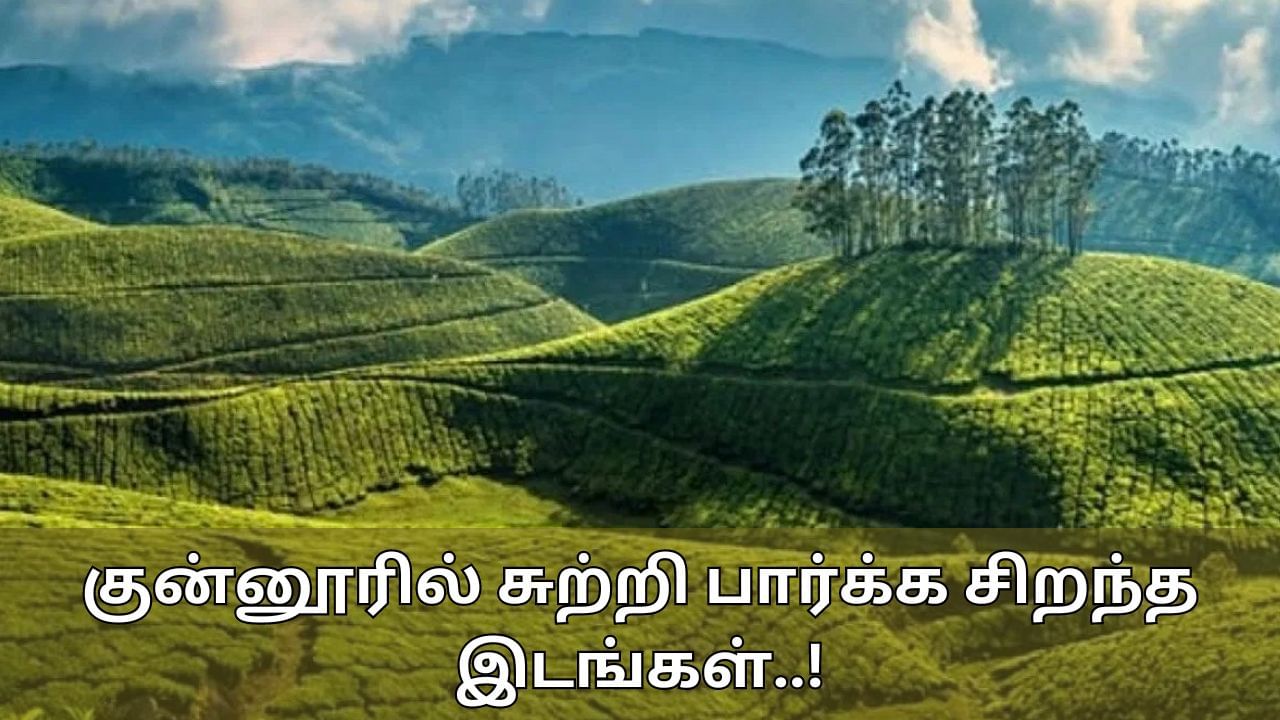 Coonoor Tour: இயற்கையின் பேரின்பம் குன்னூர்.. ஆகஸ்ட் மாதம் செல்ல பக்கா டூரிஸ்ட் பிளேஸ்!