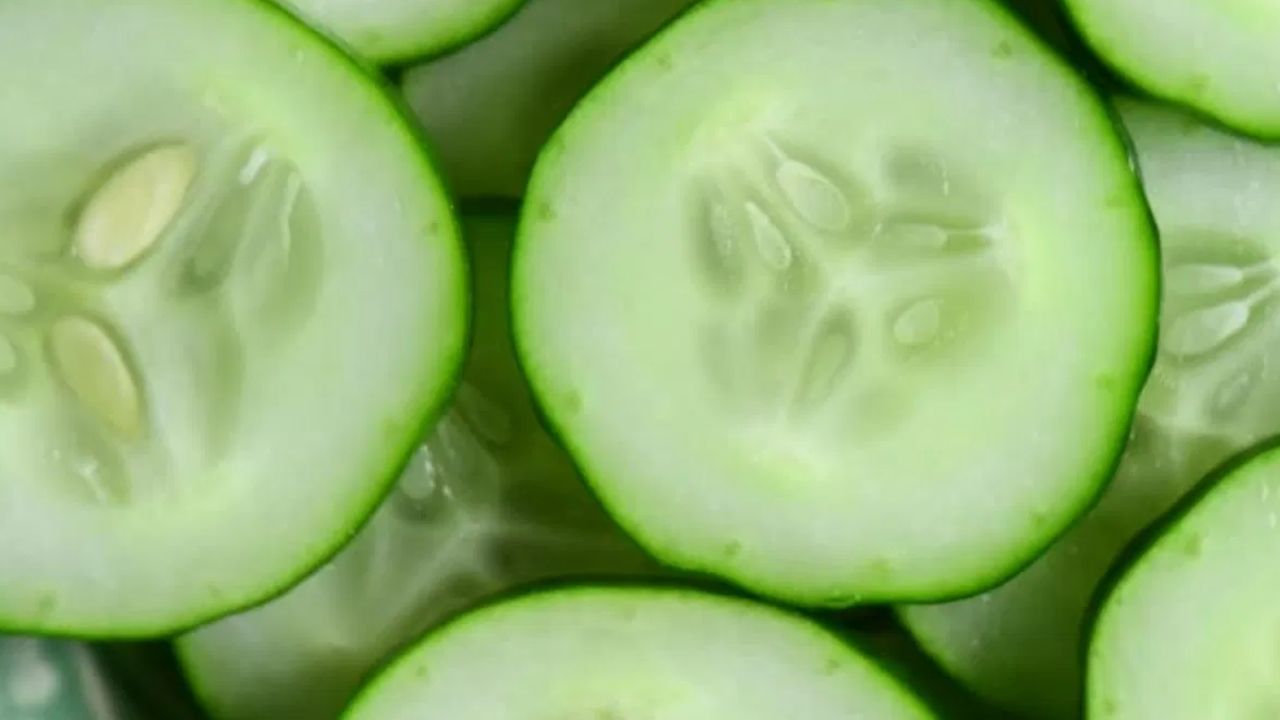 Cucumber Seeds: வெள்ளரி விதையில் இவ்வளவு நன்மைகளா..? தீவிர நோய்களையும் தீர்த்துக்கட்டும்!