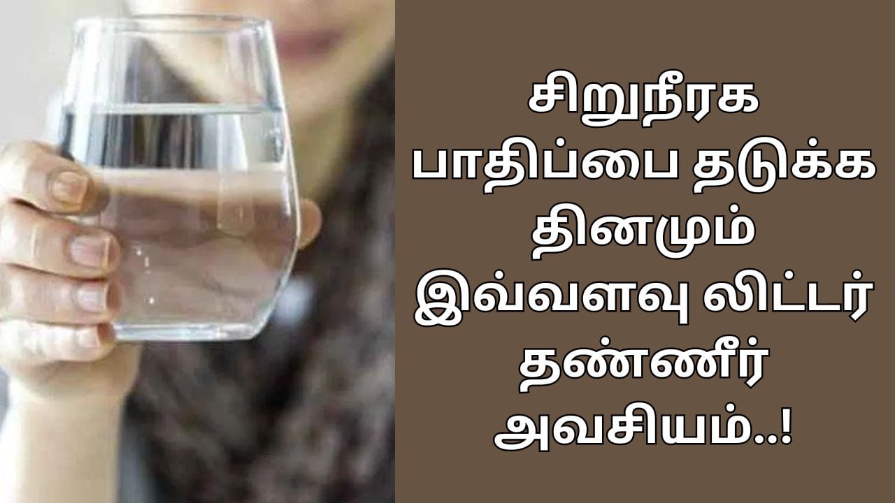 Kidney health: சிறுநீரக பாதிப்பை தடுக்க வேண்டுமா..? அப்போ! ஒரு நாளைக்கு இத்தனை லிட்டர் தண்ணீர் குடிங்க!