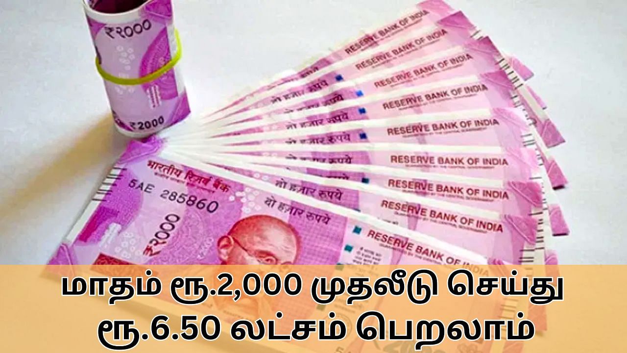 PPF : மாதம் ரூ.2,000 முதலீடு செய்தால் போதும்.. ரூ.6.50 லட்சம் வரை வருமான ஈட்டலாம்.. பிபிஎஃப் முதலீடு!