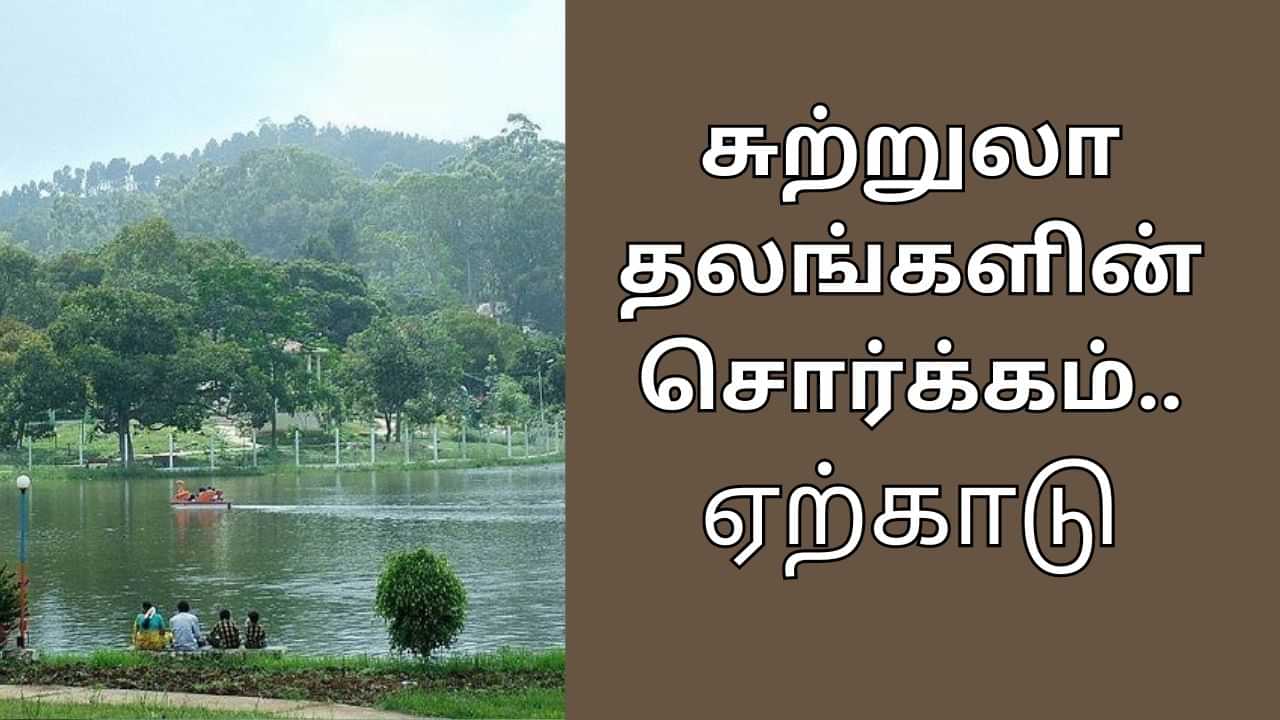 Yercaud Tour: சுற்றுலா தலங்களின் சொர்க்கமாக ஏற்காடு..  குடும்பத்துடன் இங்க போய் சுற்றி பாருங்க!