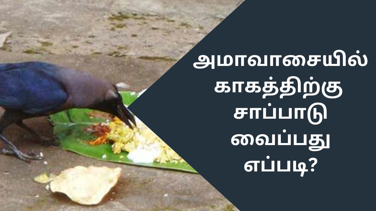 Amavasai: அமாவாசை நாளில் காகத்திற்கு உணவு வைப்பது எப்படி?