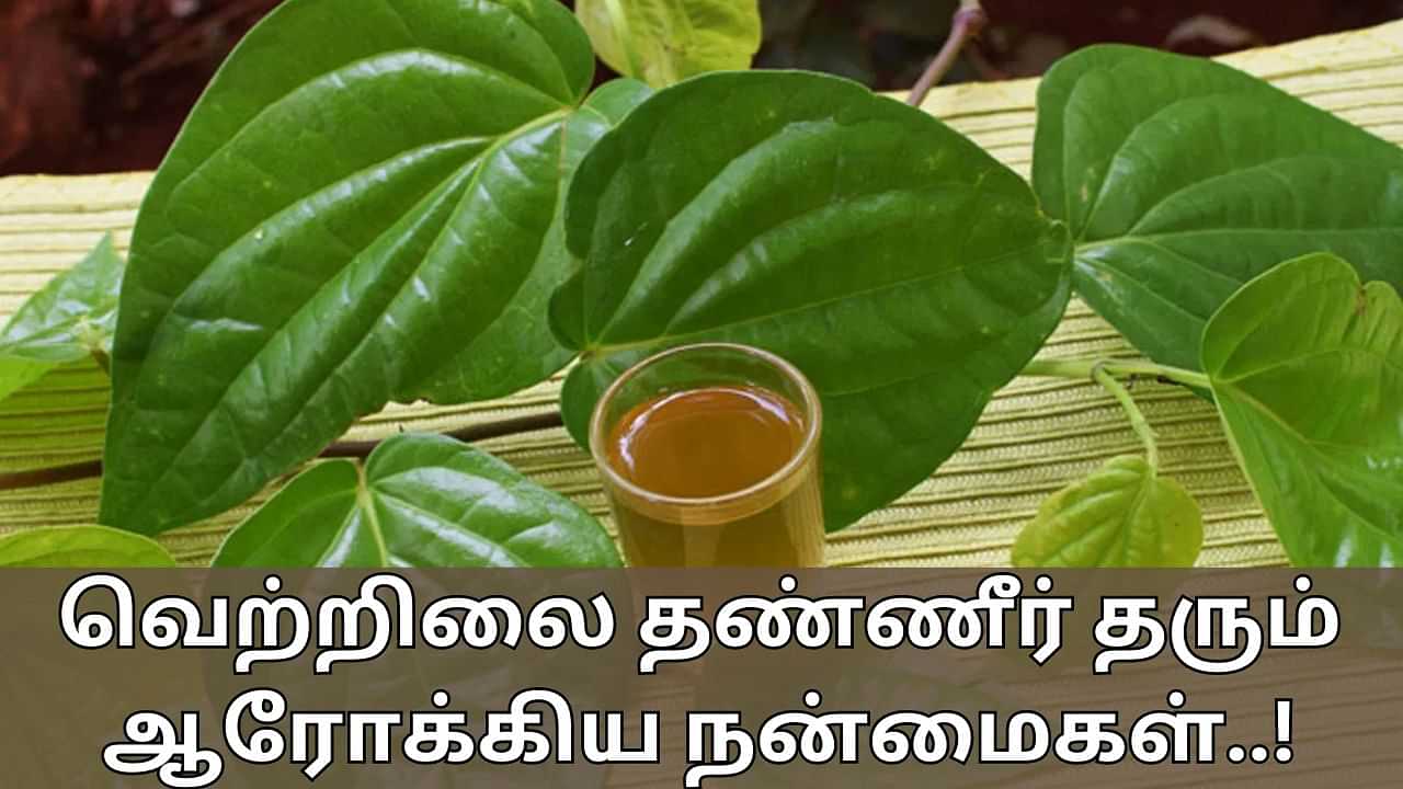 Health Tips: மலச்சிக்கலுக்கு மகத்தான மருந்து வெற்றிலை தண்ணீர்! எளிதாக தயாரிப்பது எப்படி..?