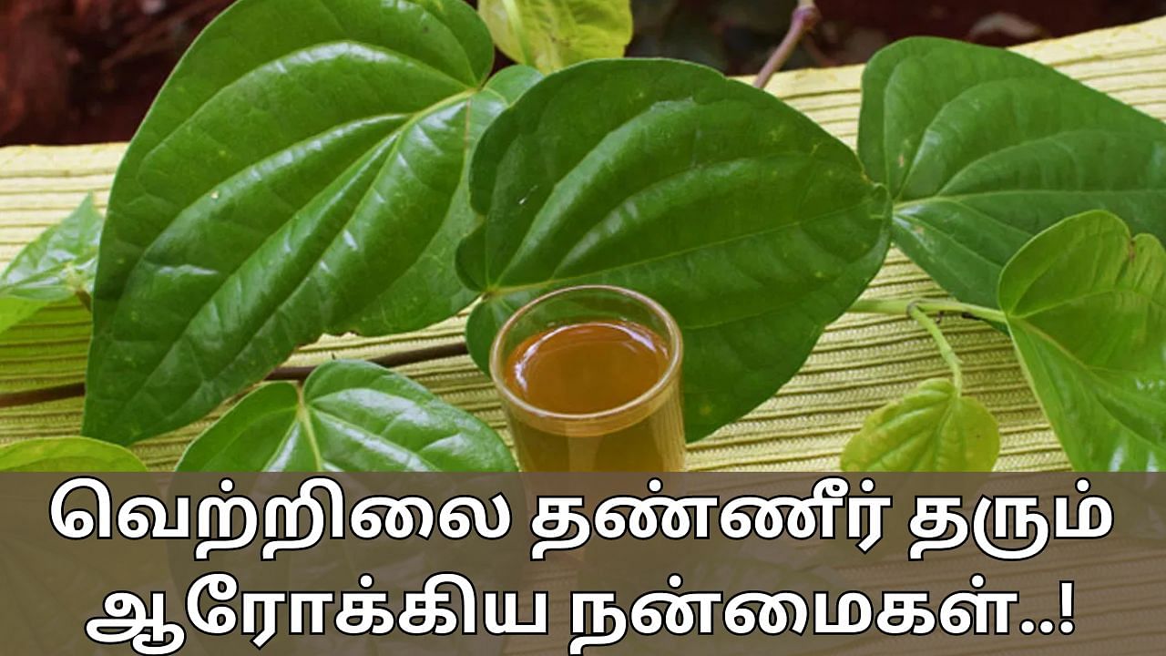 Health Tips: மலச்சிக்கலுக்கு மகத்தான மருந்து வெற்றிலை தண்ணீர்! எளிதாக தயாரிப்பது எப்படி..?