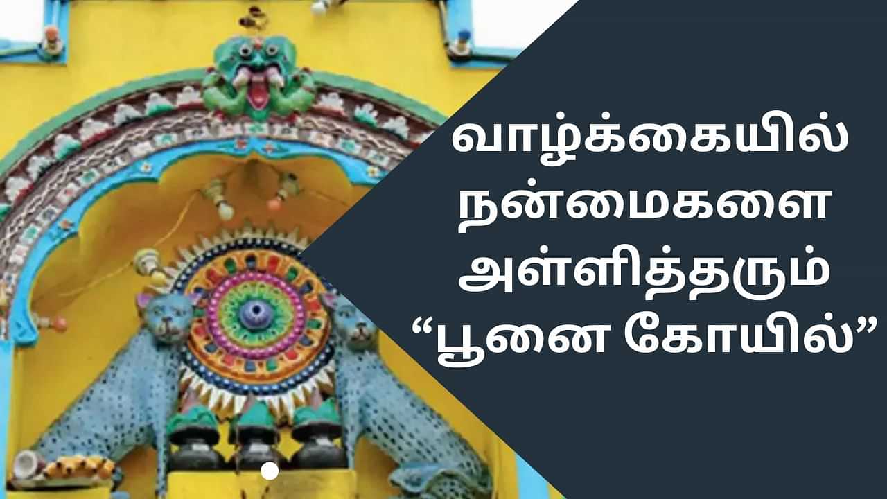 Cat Temple: கடவுளாக வணங்கப்படும் பூனை.. கர்நாடகாவில் இப்படி ஒரு கோயிலா?