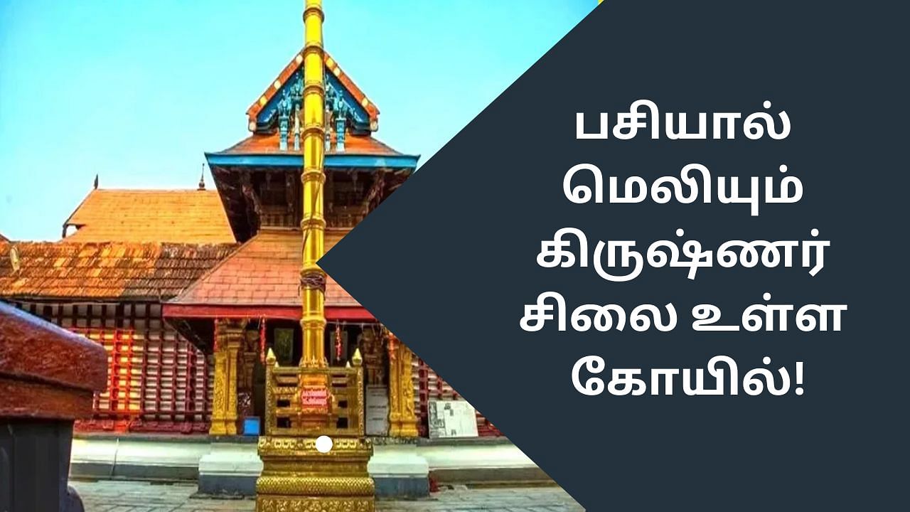 Thiruvarppu: பசியால் மெலியும் கிருஷ்ணர் சிலை.. கேரளாவில் இப்படி ஒரு கோயிலா?