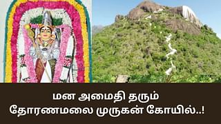 Thoranamalai: மன அமைதி தரும் தோரணமலை முருகன் கோயில்.. என்னென்ன சிறப்பு தெரியுமா?