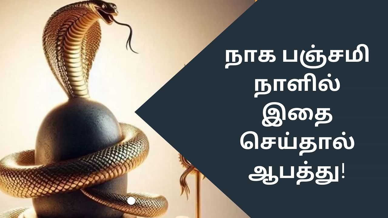 Naga Panchami: இன்று நாக பஞ்சமி.. தவறுதலாக கூட இதை செய்யாதீங்க!