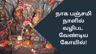 Naga Panchami: வருடத்திற்கு ஒருமுறை திறப்பு.. நாக பஞ்சமி நாளில் வணங்க வேண்டிய கோயில்!