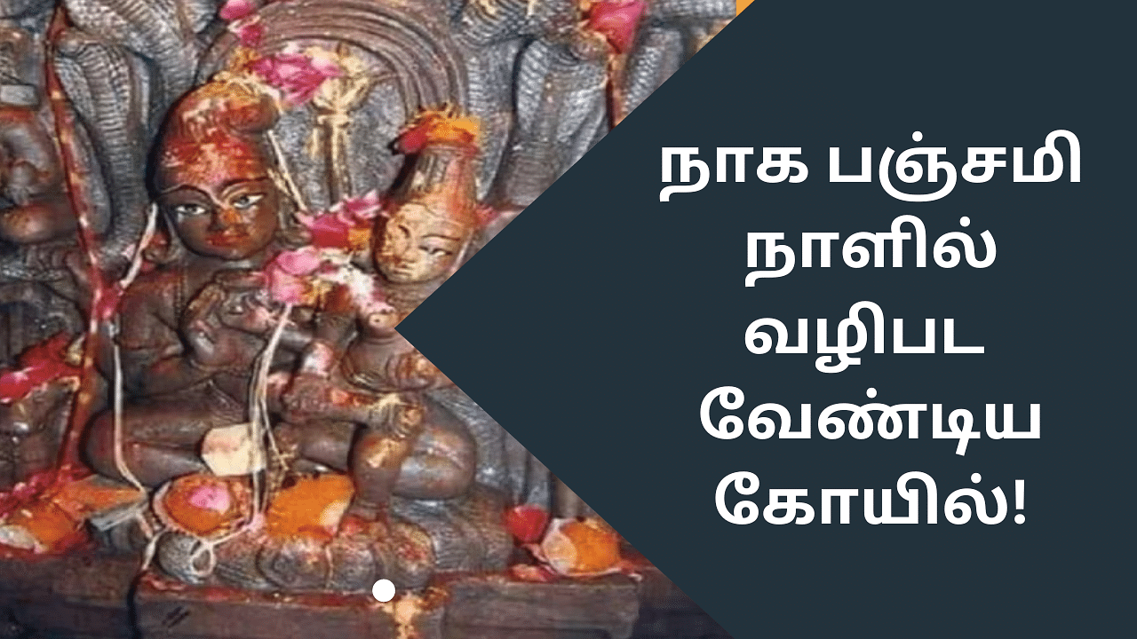 Naga Panchami: வருடத்திற்கு ஒருமுறை திறப்பு.. நாக பஞ்சமி நாளில் வணங்க வேண்டிய கோயில்!