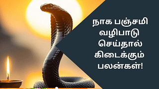 Naga Panchami: நாகபஞ்சமி வழிபாடு.. இப்படி செய்தால் புண்ணியம் கிடைக்கும்!