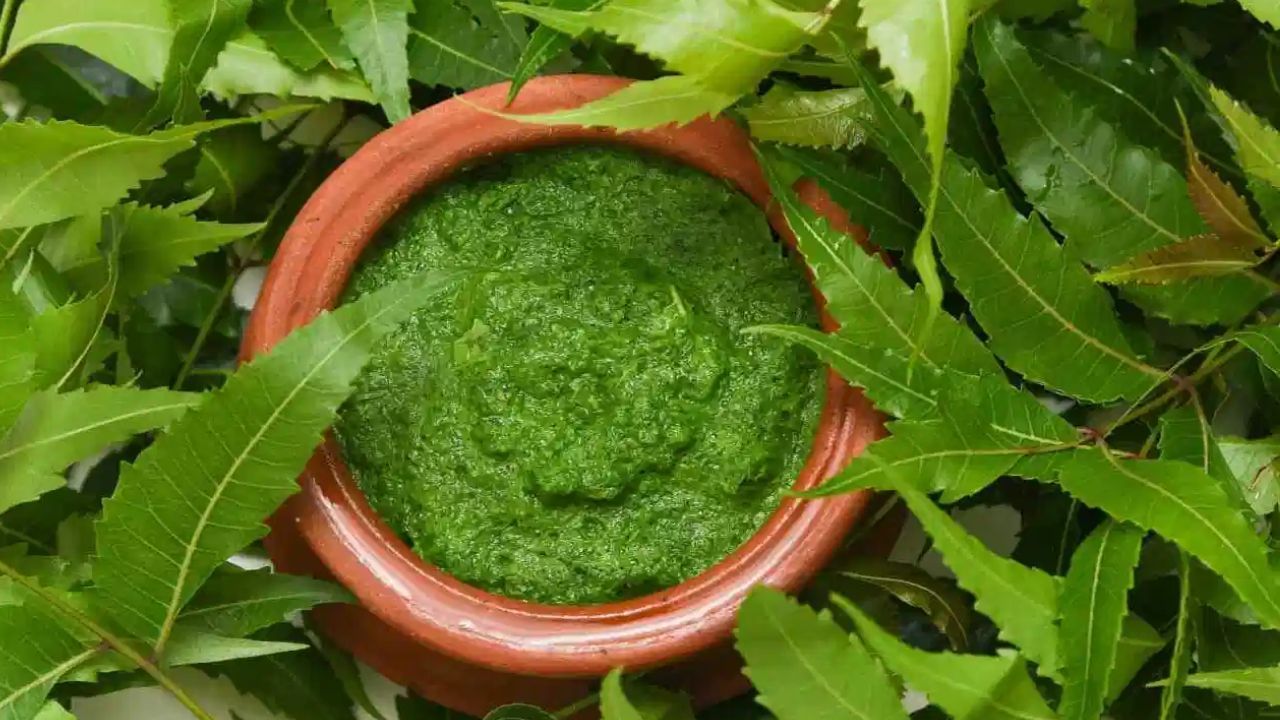 Neem Water Bath: சருமத்திற்கு பல நன்மைகளை தரும் வேப்ப இலை குளியல்.. இப்படி குளிச்சு பாருங்க!