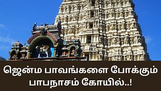 Papanasanathar Temple: ஜென்ம பாவங்களை போக்கும் பாபநாசம் கோயில்..!