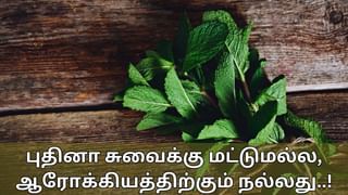 Mint Leaves Benefits: செரிமானம் முதல் எடை குறைப்பு வரை.. எண்ணற்ற நன்மைகளை தரும் புதினா இலைகள்..!