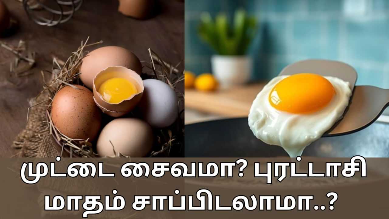 Egg Veg or Nonveg: முட்டை சைவமா? அசைவமா? புரட்டாசி மாதம் சாப்பிடலாமா..?