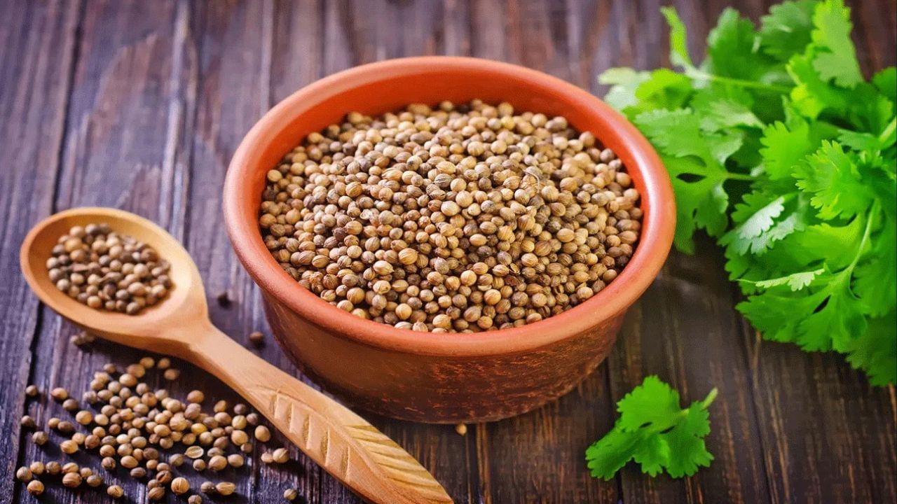 Coriander Water Benefits: வெறும் வயிற்றில் கொத்தமல்லி தண்ணீர் குடிங்க.. இதுவே பல பிரச்சனைகளுக்கு மருந்தாகும்!