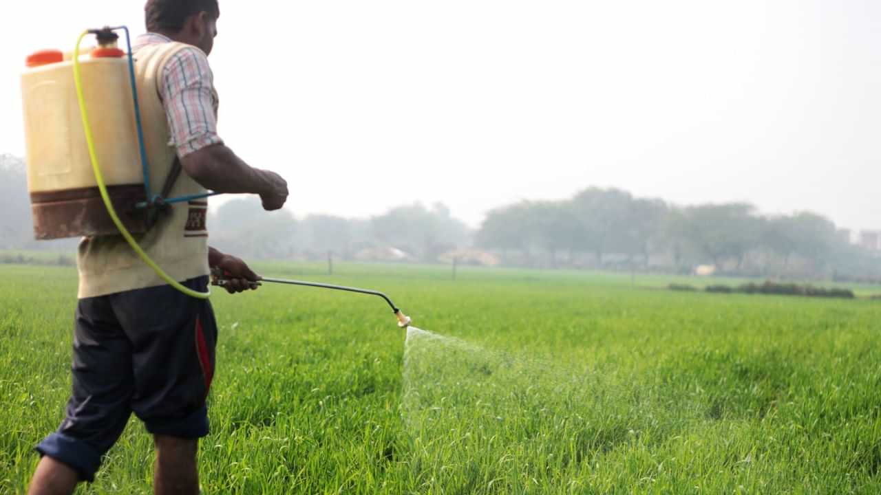 Farmer ID Card : ஆதார் கார்டை போலவே விவசாயிகளுக்கு அடையாள அட்டை.. வெளியான முக்கிய தகவல்!