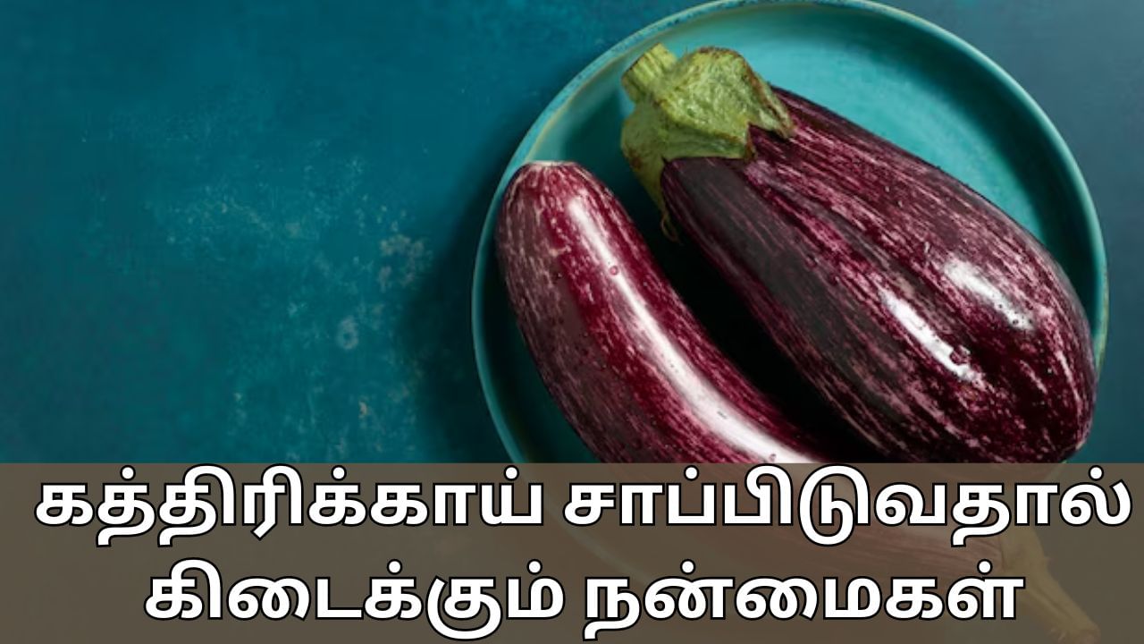 Health Tips: மூளைக்கு புத்துணர்ச்சி தரும் கத்திரிக்காய்.. புற்றுநோய்க்கு சூப்பர் ஃபுட்..!