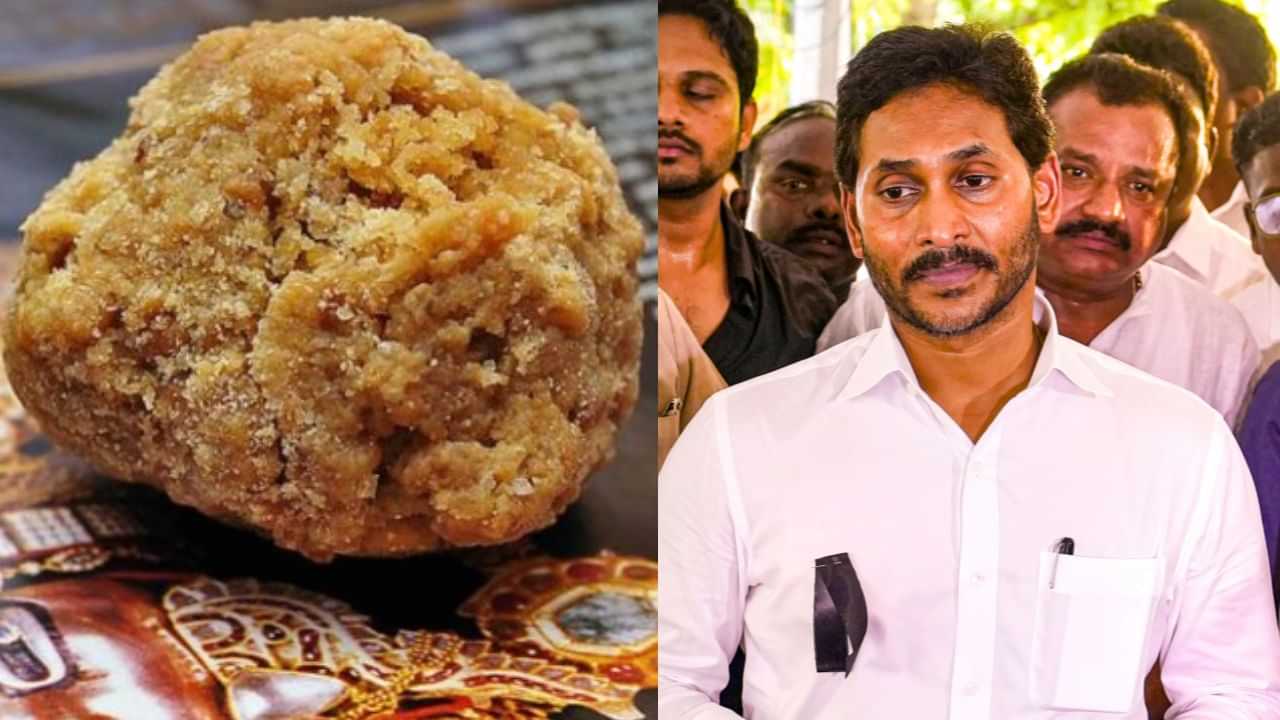 Tirupati Laddoo : திருப்பதி லட்டில் மாட்டு கொழுப்பு, மீன் எண்ணெய்.. வலுக்கும் கண்டனம்.. இன்று செய்தியாளர்களை சந்திக்கிறார் ஜெகன் மோகன் ரெட்டி!