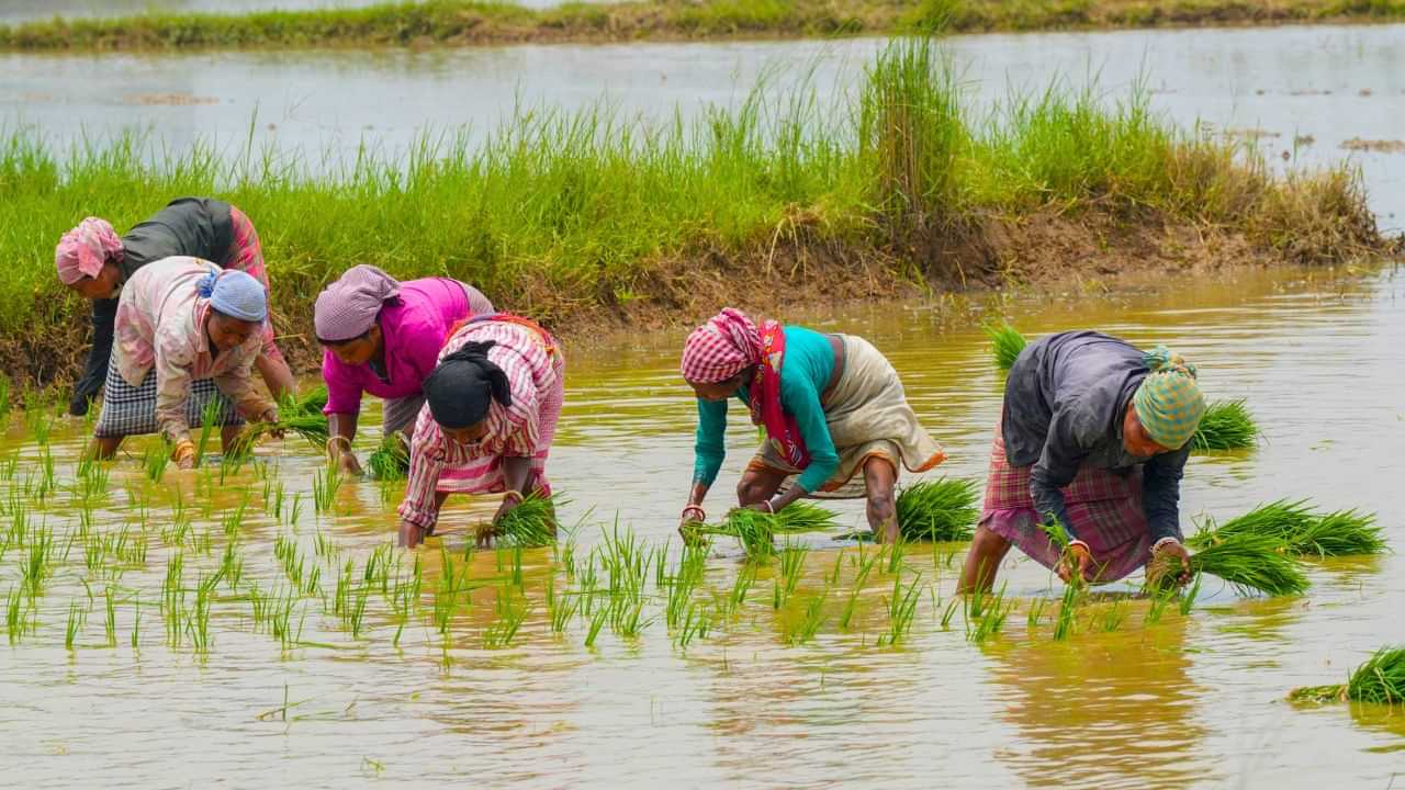 PM Kisan : பிஎம் கிசான் 18வது தவணை பட்டியலில் உங்கள் பெயர் இல்லையா?.. உடனே இத பண்ணுங்க!