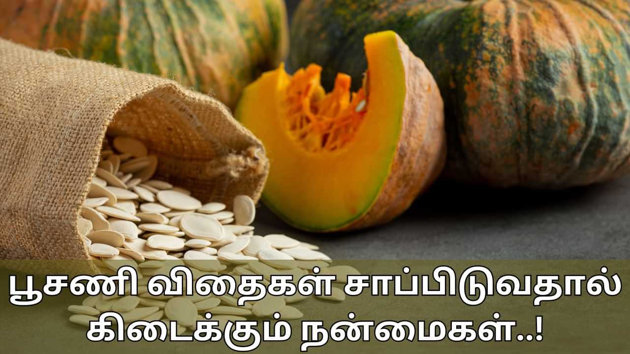 Pumpkin Seeds Benefits: தினமும் 2 ஸ்பூன் பூசணி விதைகள் சாப்பிடுங்க.. இந்த பிரச்சனைகளுக்கு தீர்வு நிச்சயம்!