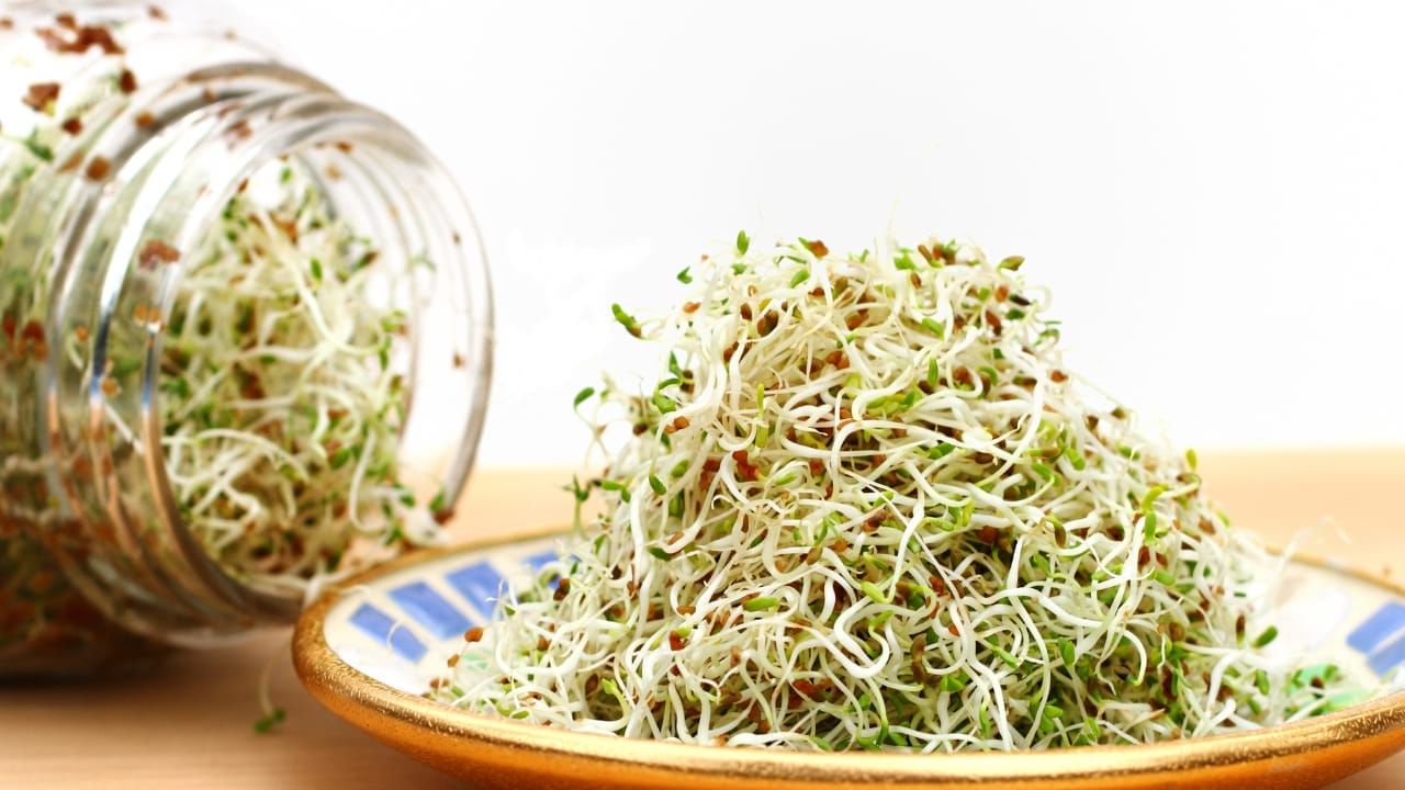 Benefits of Sprouts: முளைக்கட்டிய தானியங்களால் கிடைக்கும் நன்மைகள் என்னென்ன?