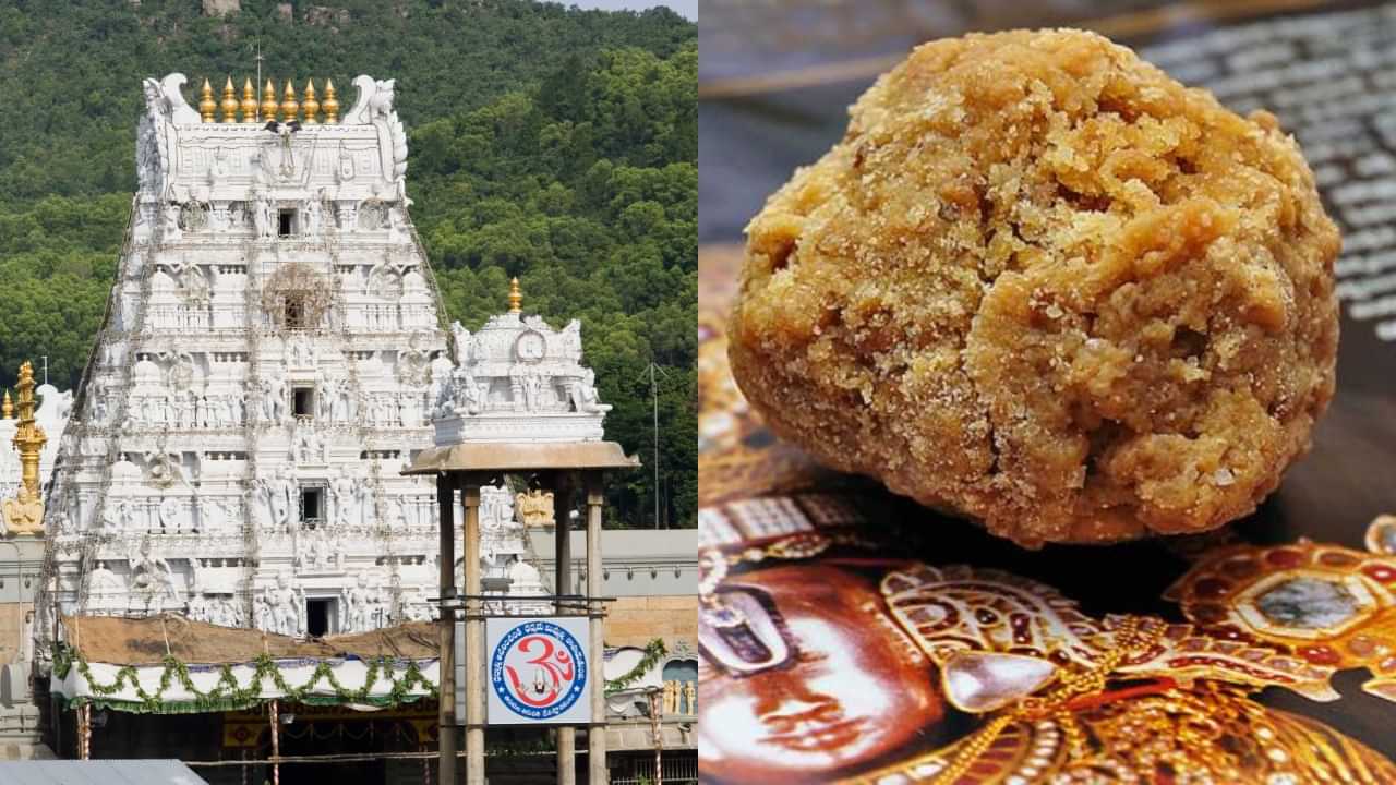 Tirupati Laddu: ”மாட்டு கொழுப்பு.. மீன் எண்ணெய் திருப்பதி லட்டு குறித்து ஆய்வில் வெளிவந்த அதிர்ச்சி தகவல்!