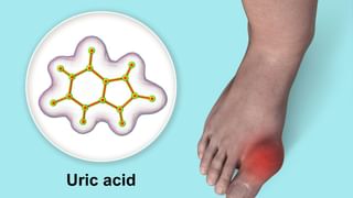 Uric Acid: யூரிக் அமிலம் என்றால் என்ன..? இது ஏன் உடலுக்கு தீங்கு..? முழு விவரம் இங்கே!