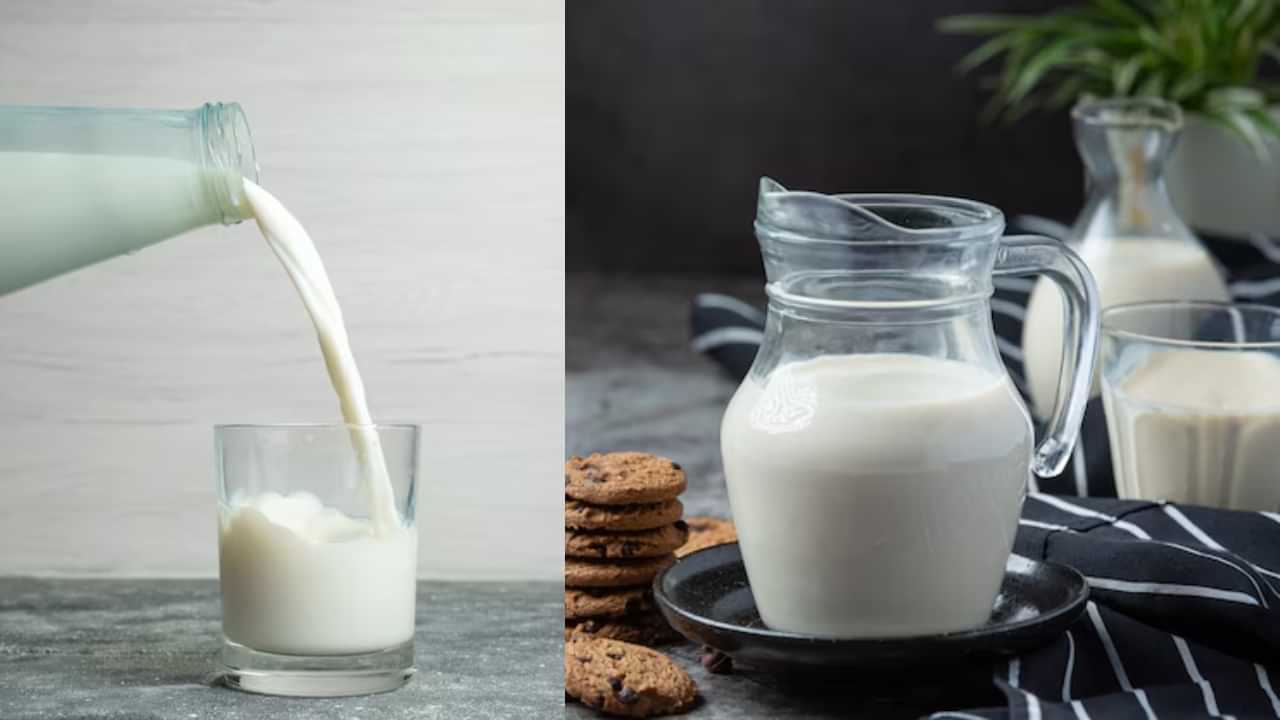 Which Milk is Best: எந்த பாலை குடிப்பது ஆரோக்கியத்திற்கு சிறந்தது..? பசும் பாலா..? ஆட்டுப்பாலா..?