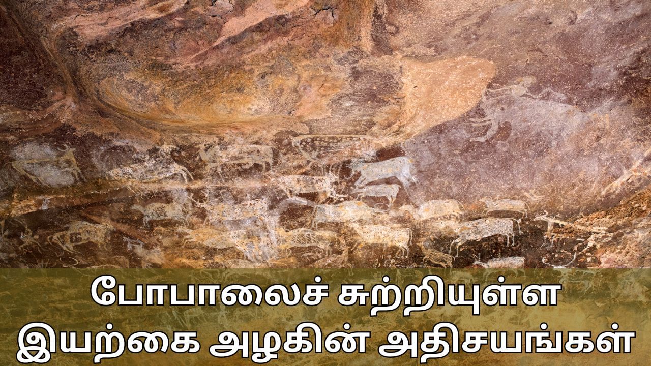 Travel Tips: போபாலைச் சுற்றியுள்ள இயற்கை அழகின் அதிசயங்கள்.. மறக்காமல் இந்த இடத்திற்கு செல்லுங்கள்!