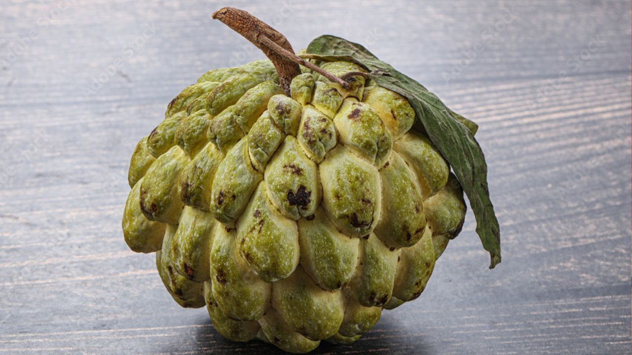 Custard apple Benefits: சீத்தாப்பழம் சாப்பிடுவதால் கிடைக்கும் நன்மைகள்.. ஆஸ்துமாவை எதிர்க்கும் அற்புத மருந்து!