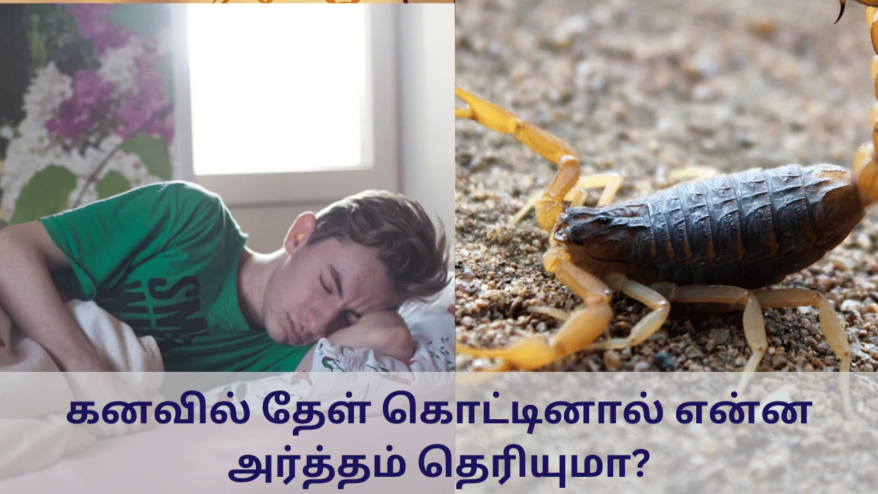 Dream Theory: உங்கள் கனவில் தேள் கொட்டினால் என்ன அர்த்தம் தெரியுமா?