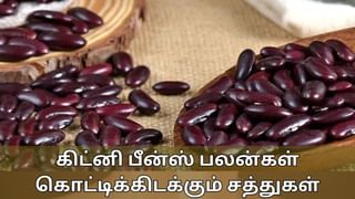 Rajma Benefits : இதயம் முதல் நீரிழிவு வரை.. கிட்னி பீன்ஸ் சாப்பிட்டால் இவ்வளவு தீர்வுகளா?