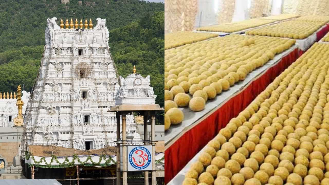 Tirupati Laddu Controversy: மாட்டு கொழுப்பு.. லட்டு விற்பனை மூலம் திருப்பதி கோயிலுக்கு கிடைக்கும் வருவாய் எவ்வளவு தெரியுமா?